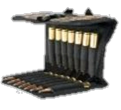 Arctic Ammo Pouch
